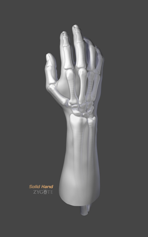 human hand 3d model free download blender four fingers
