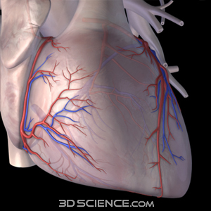3D model Lv Heart bag VR / AR / low-poly