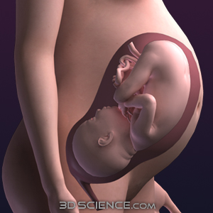 3d Pregnant Girls Naked - 3d Pregnant Girls | Anal Dream House